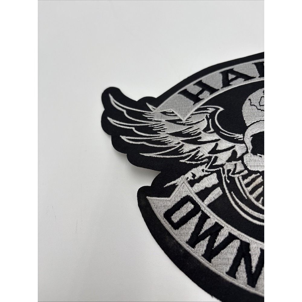 Large Winged Skull Silver Patch ~ Harley Davidson Owners Group H.O.G. - Picture 5 of 12